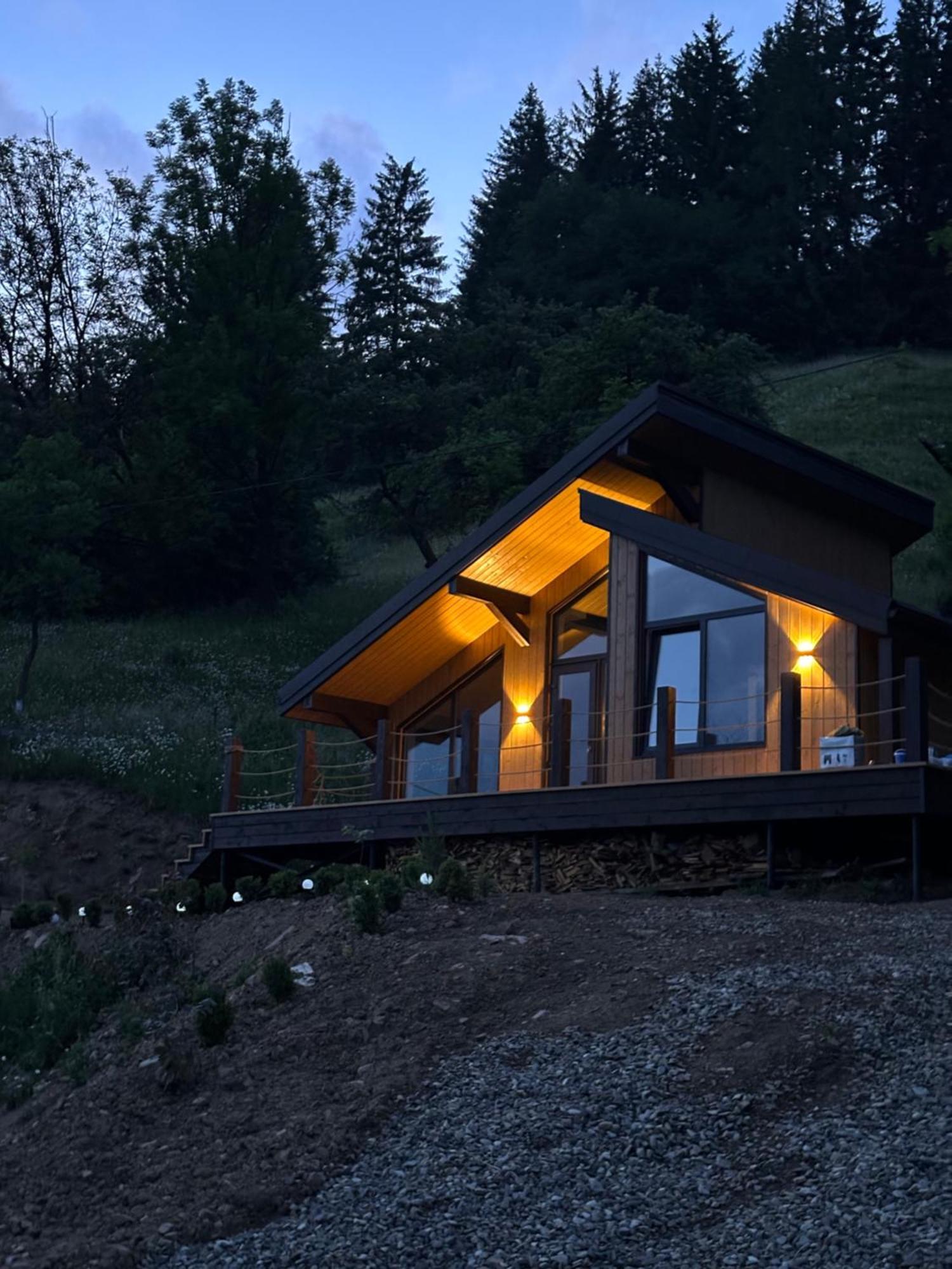 Petrick House Apartment Verkhovyna Bagian luar foto